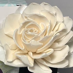 Meet your Posher, Jannete